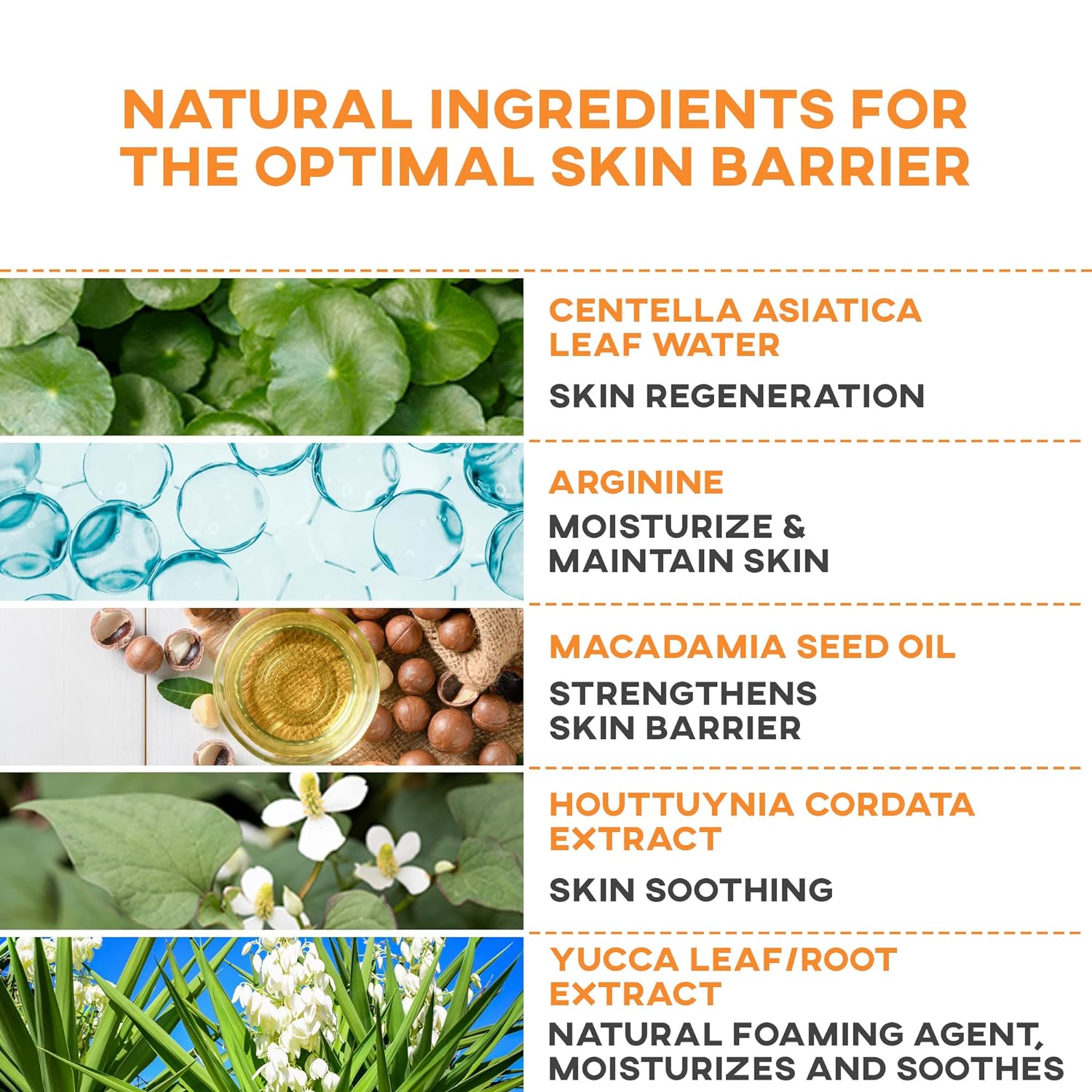 Vegan Gel Cleanser - Image 2